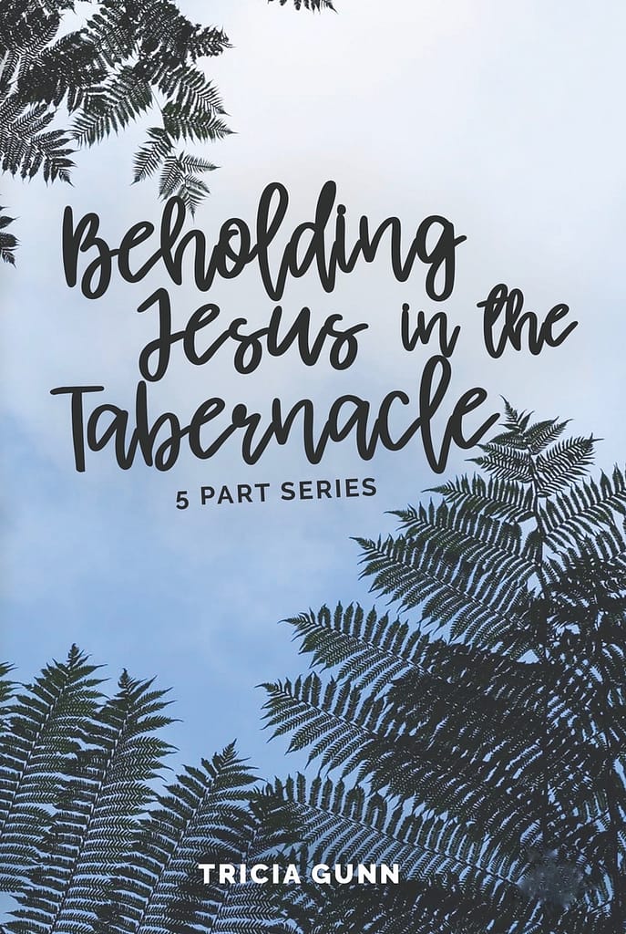 Beholding Jesus in the Tabernacle, Complete 5-part Series